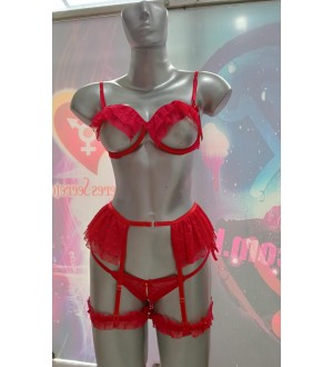 Conjunto de ropa interior de 4 piezas de tul Fiera