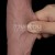 Dildo realista con ventosa 10 pulg. Sliding Skin Pro II Dual Layer Silicone Dong