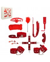 Set BDSM de 11 piezas rojo High Quality BDSM Bondage Set
