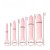 Set de dilatador vaginal .de 5 piezas Pink Silicone Pelvic Floor Trainer Dilator Set