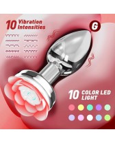 Plug anal metálico vibrador a control remoto - 10-Speed Rechargeable Light-Up Vibrating Anal Plug