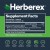 Suplemento herbal unisex para la vitalidad sexual HERBEREX