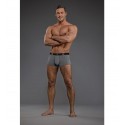 Male Power BAMBOO MINI ENHANCER SHORT GREY