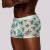 Male power Shorts sin costura Flamingo Sheer Prints