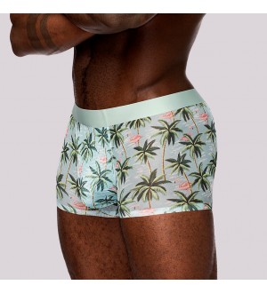 Male power Shorts sin costura Flamingo Sheer Prints